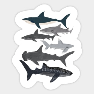 Sharks Sticker